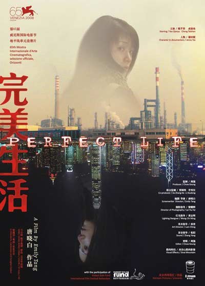 Perfect Life poster