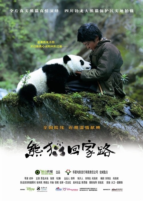 Touch of the Panda / Trail of the Panda poster