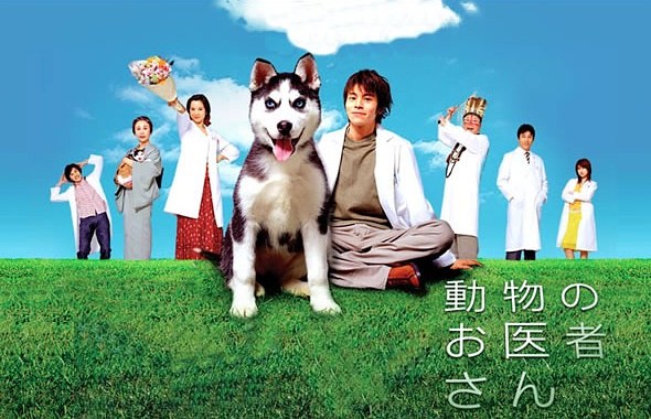 The Animal Doctor poster