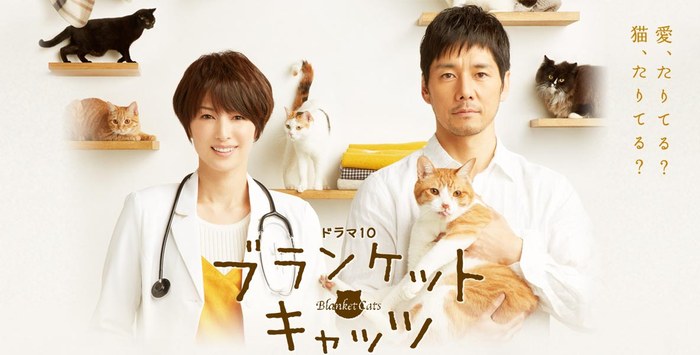 Blanket Cats poster