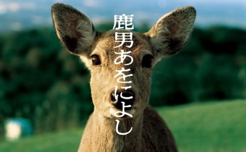 The Fantastic Deer-Man poster