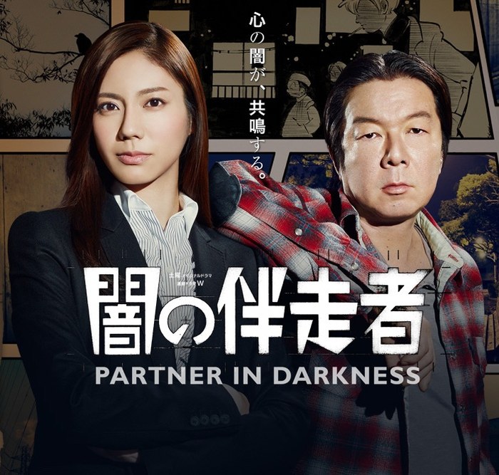 Partner in Darkness poster