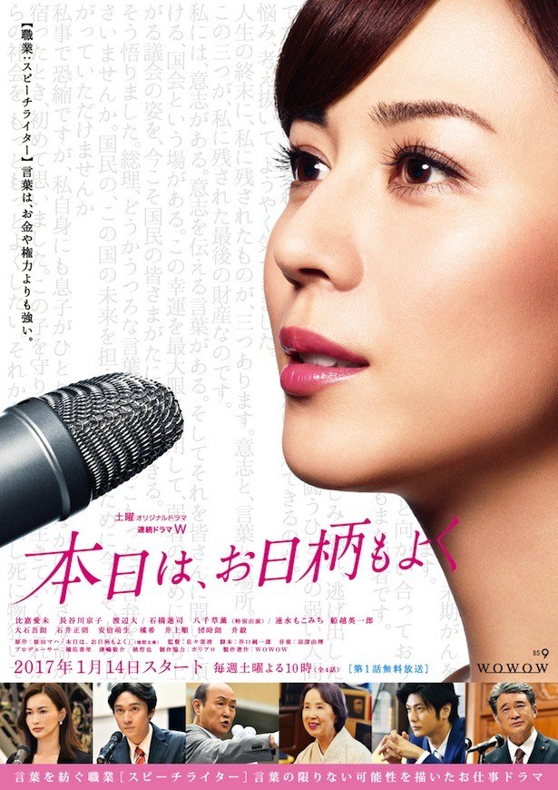 A Speechwriter poster