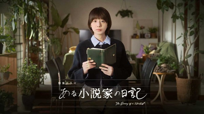 The Diary of a Novelist poster