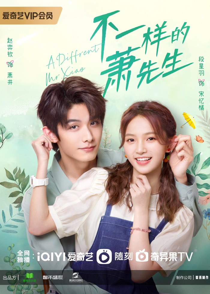 A Different Mr. Xiao poster