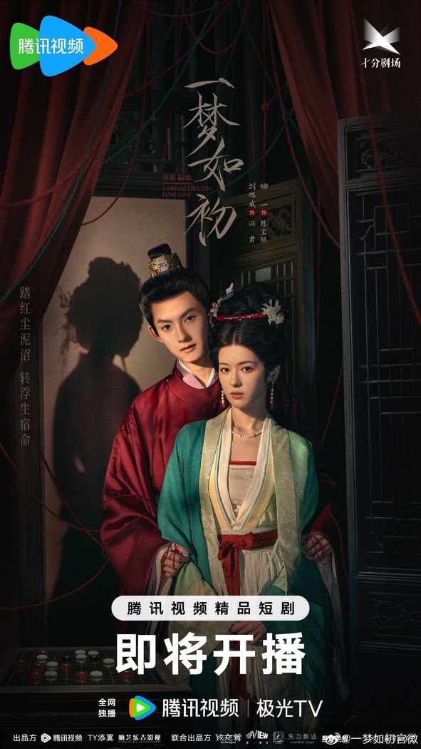 A Dream like the True Love poster