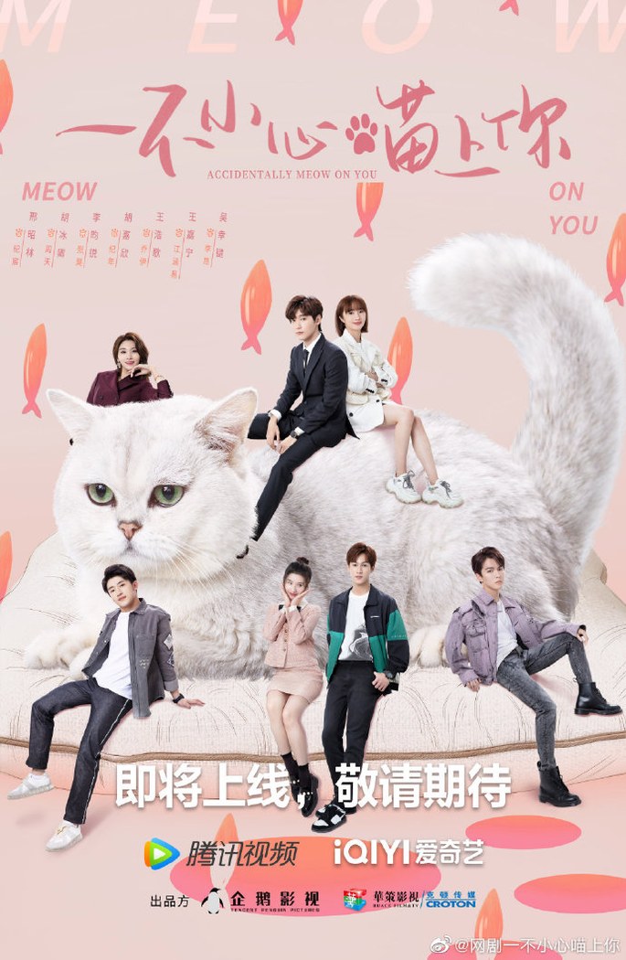 Accidentally Meow On You poster