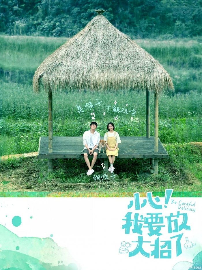 Be Careful Delicacy poster