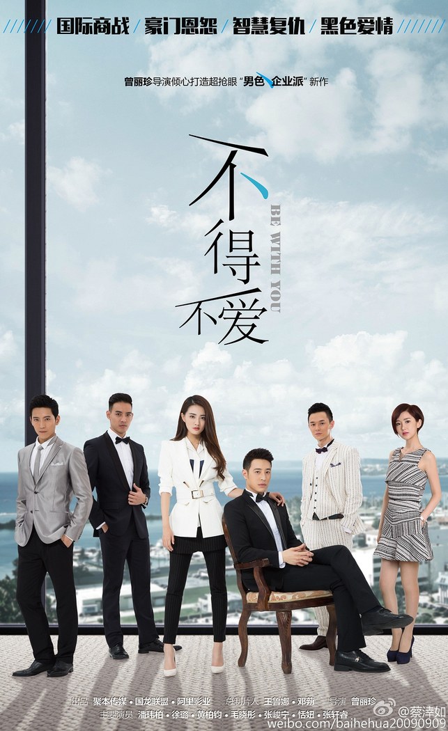 Bu De Bu Ai poster