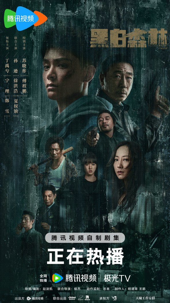 Black & White Forest poster