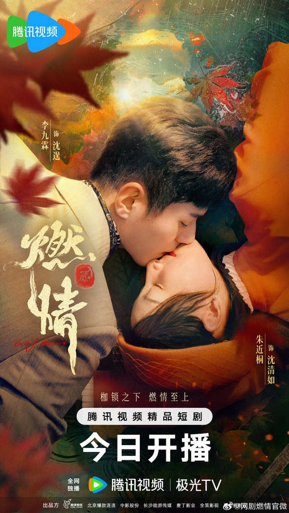 Burning Passion poster