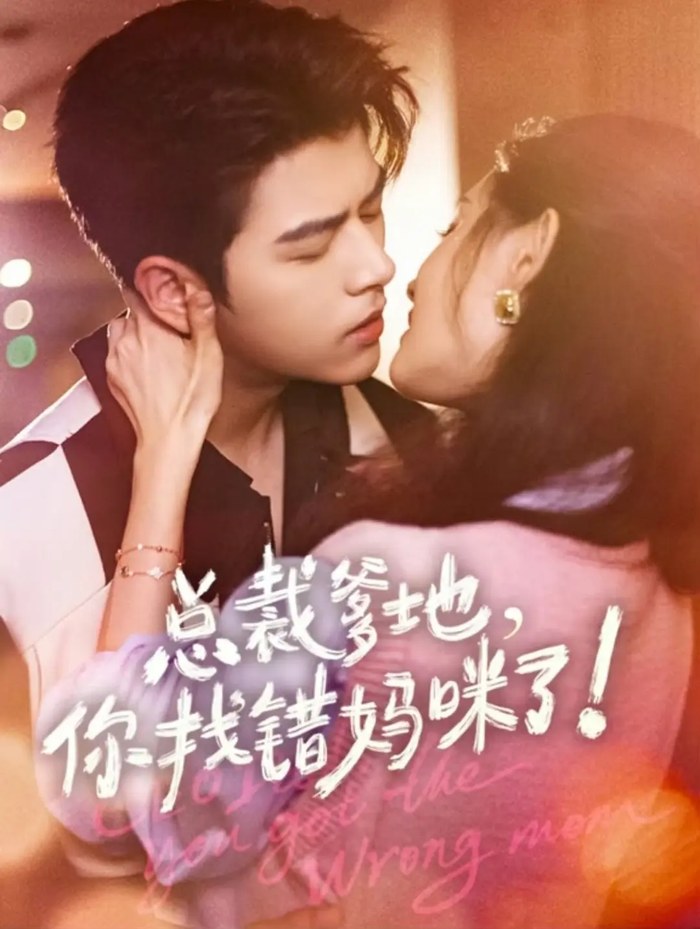 CEO Dad, You Got the Wrong Mom poster