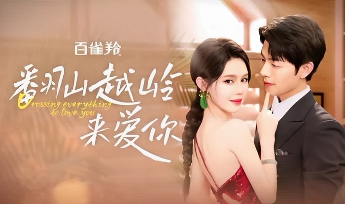 Crossing Everything to Love You poster