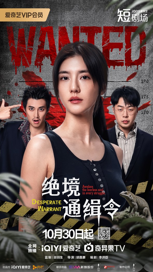 Desperate Warrant poster