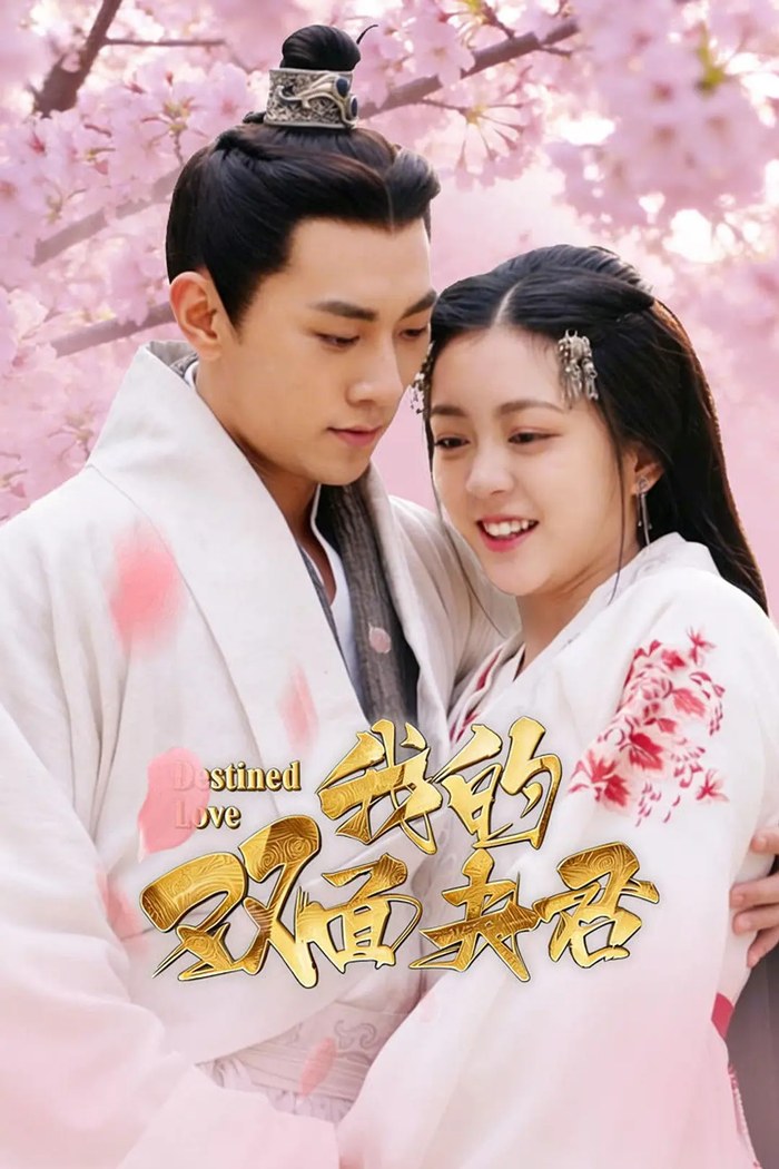 Destined Love poster