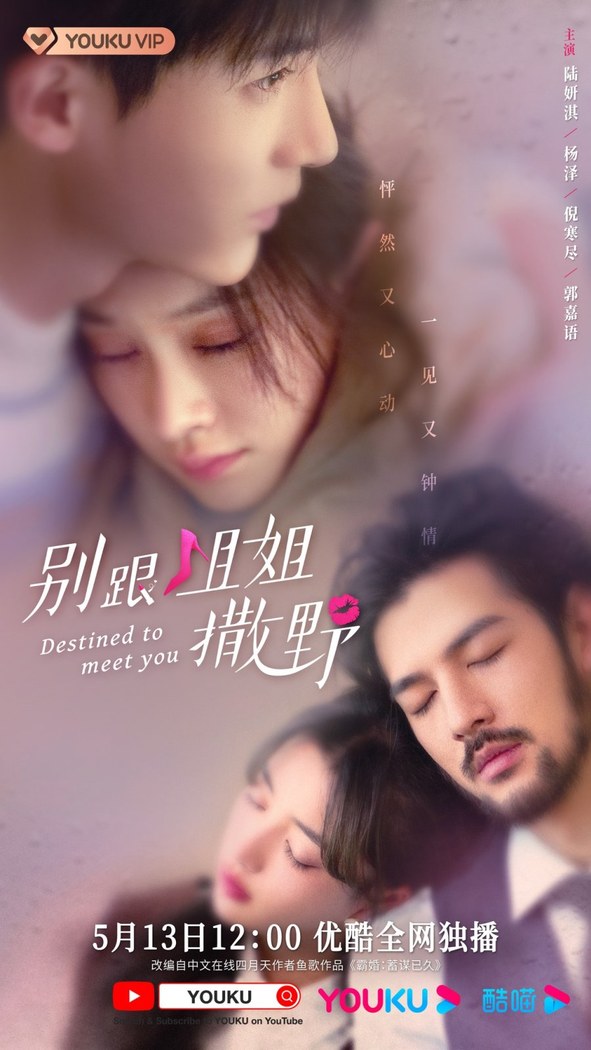 Destined to Meet You poster