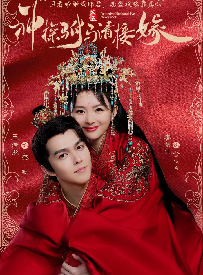 Detective Husband I've Never Met poster