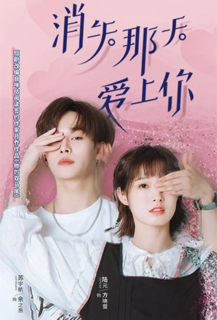 Disappearing Love poster
