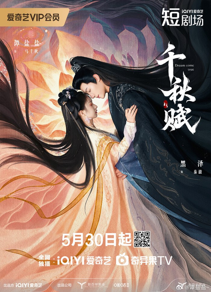 Dream Come True poster