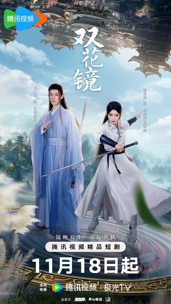 Dream in the Mirror poster