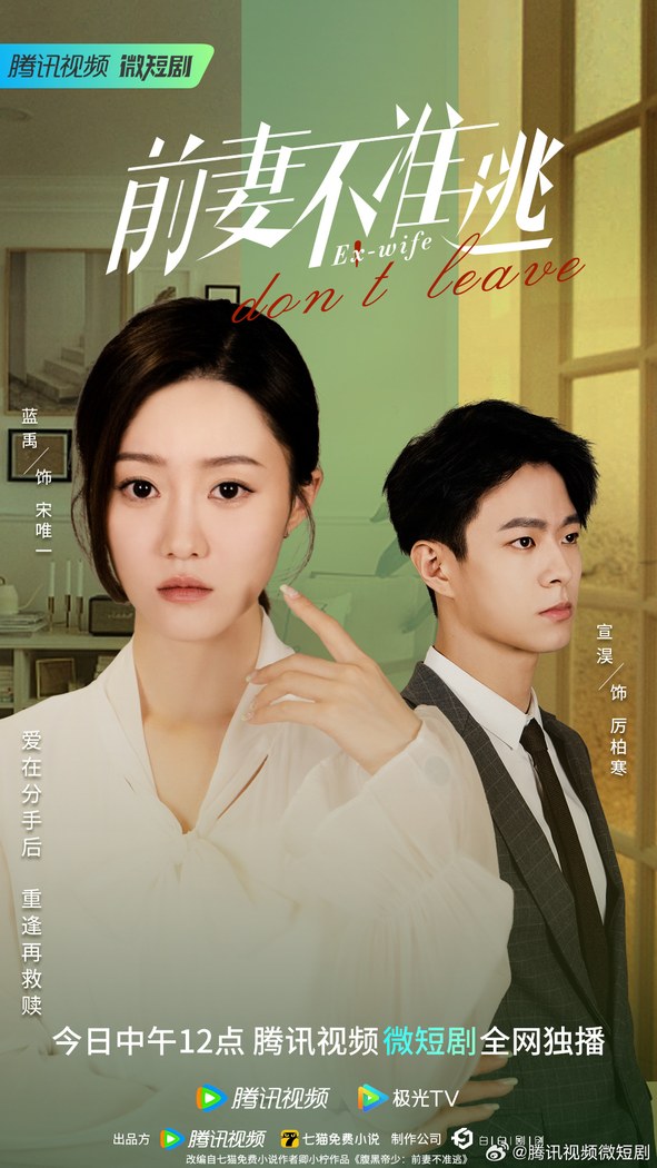 Ex-wife Don't Leave poster