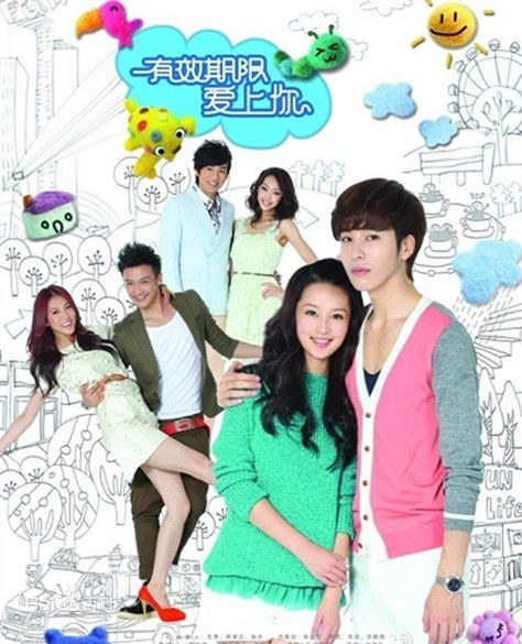 Expiration Date to Fall in Love with You poster