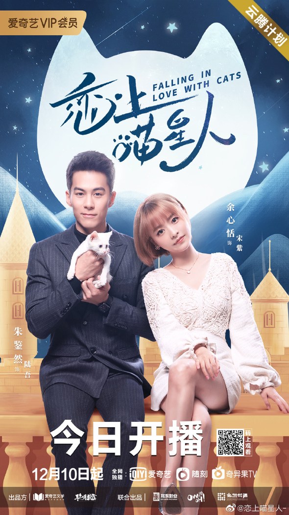 Falling In Love With Cats poster