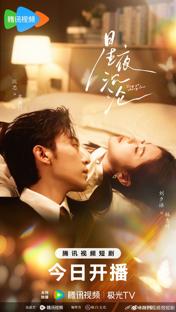 Falling Under the Stars poster