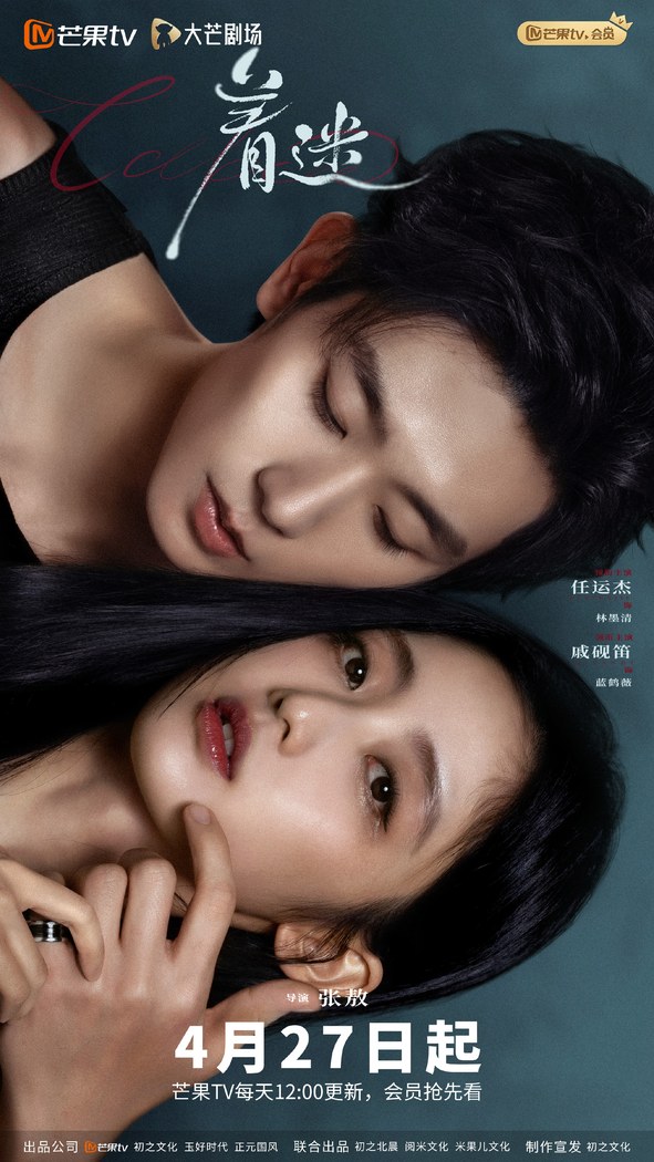 Fascination poster