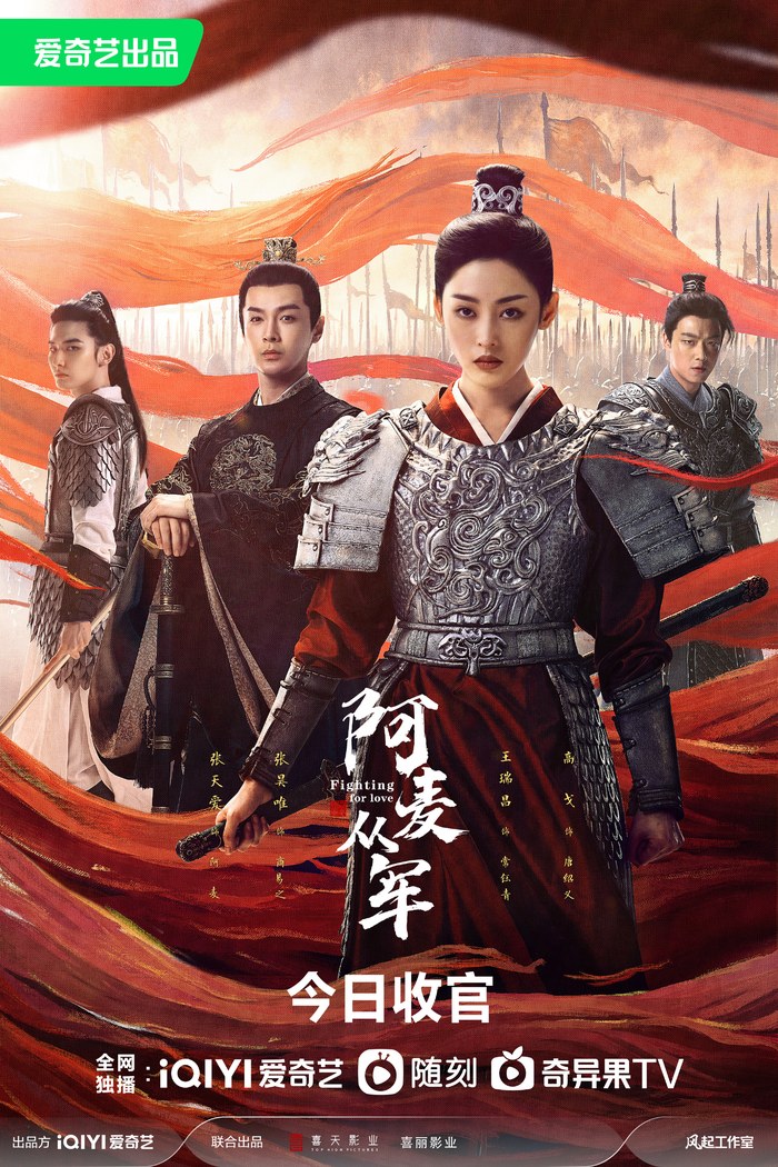 Fighting for Love poster