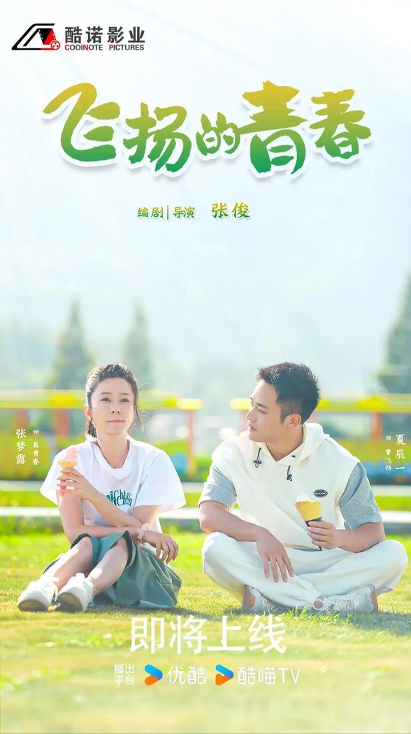Flying poster