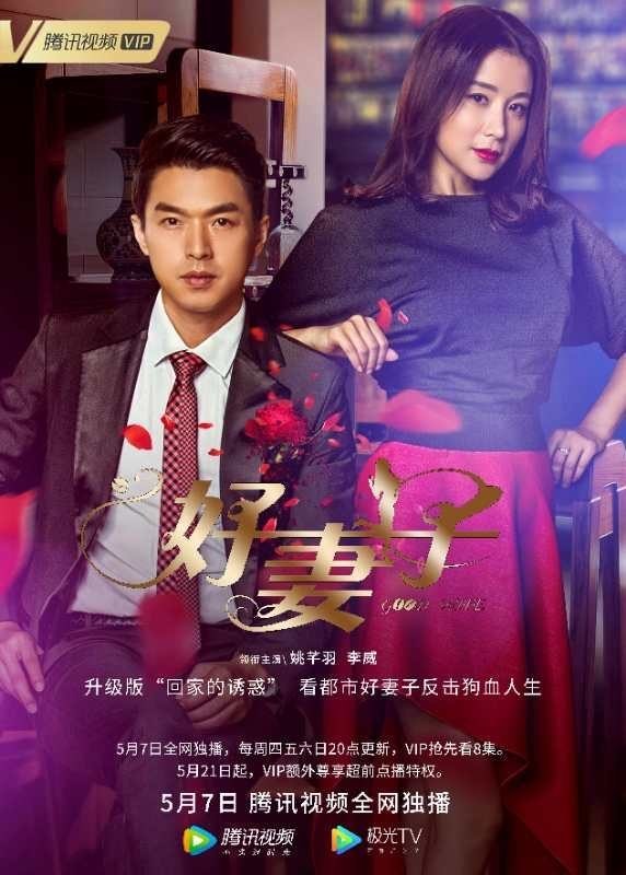 Good Wife poster