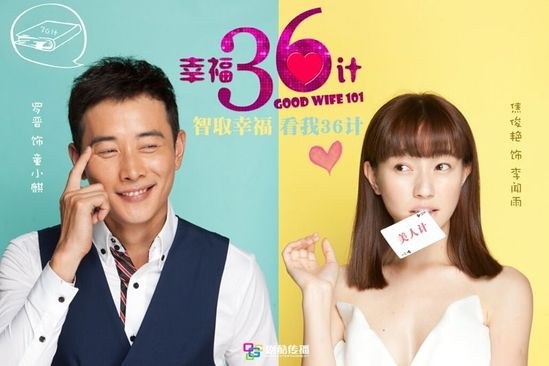 Good Wife 101 poster