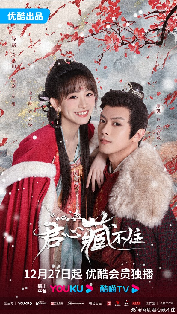 Governor's Secret Love poster