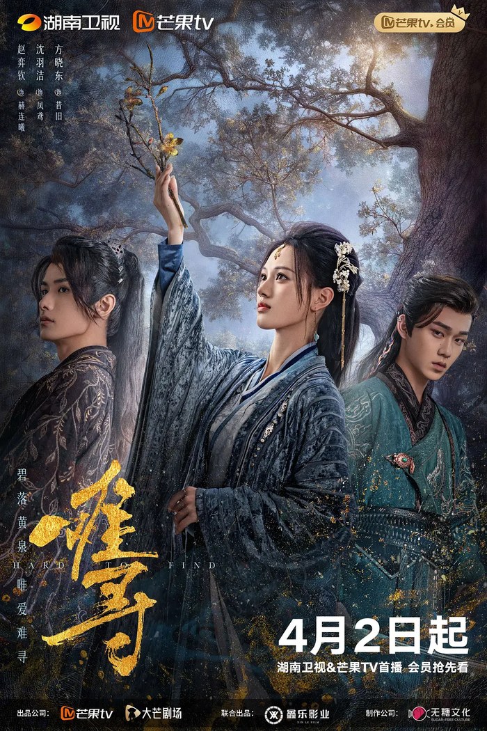 Hard to Find poster