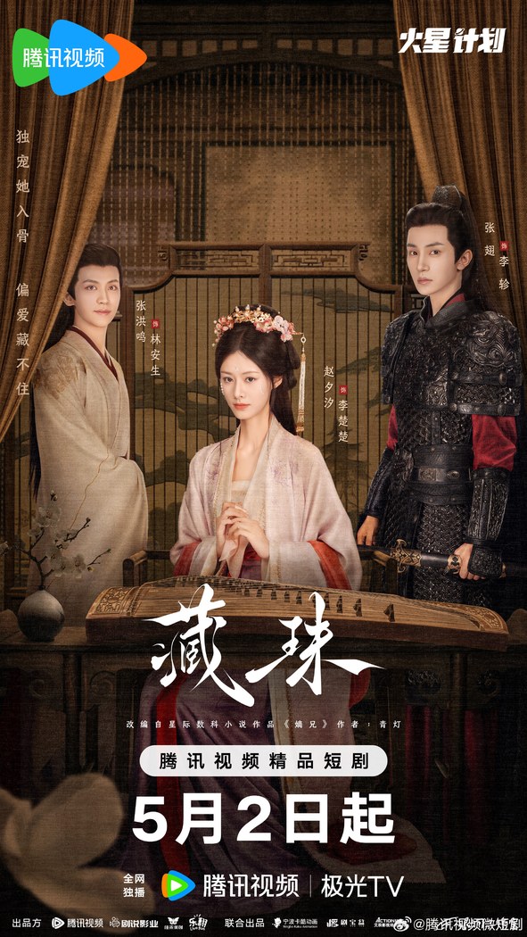 Hidden Love poster