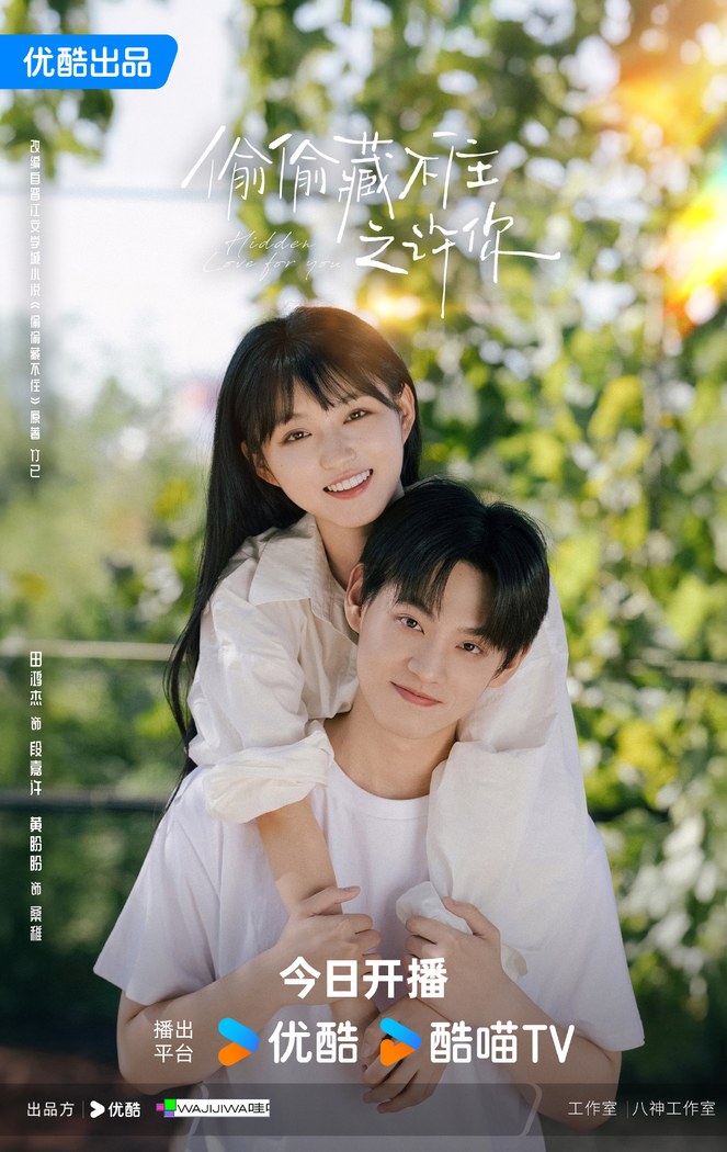 Hidden Love For You poster