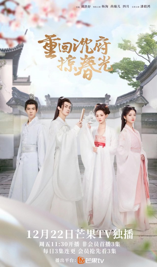 Hidden Revenge poster
