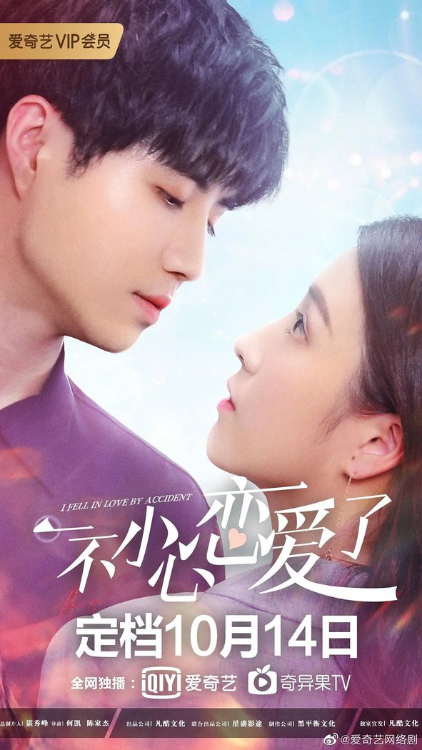 I Fell in Love By Accident poster