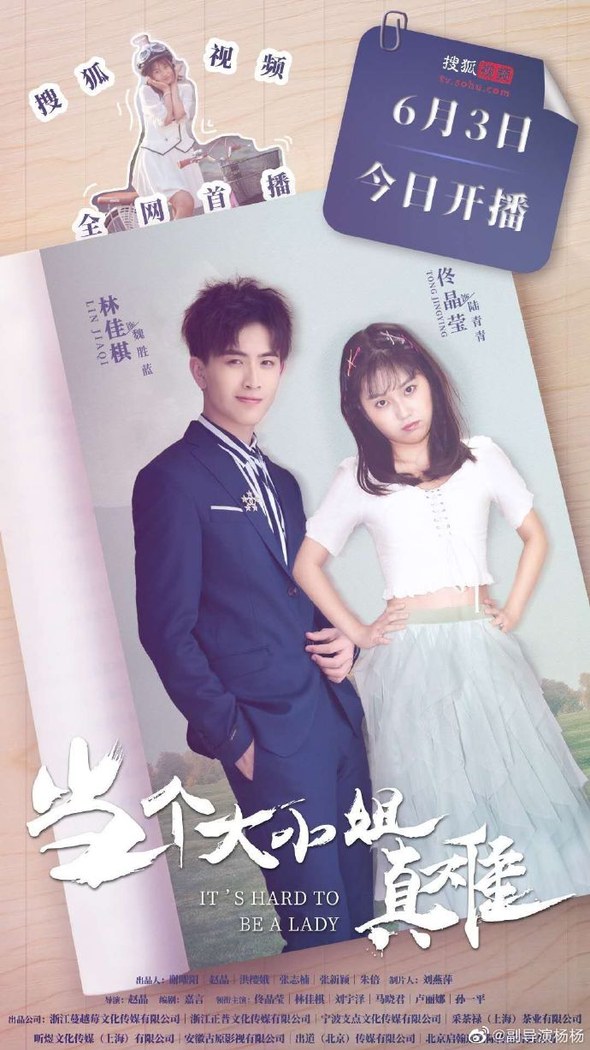 It's Hard to Be a Lady poster