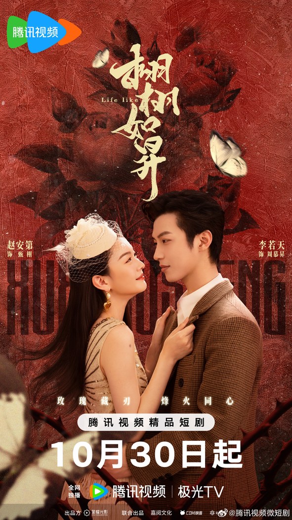 Life Like poster