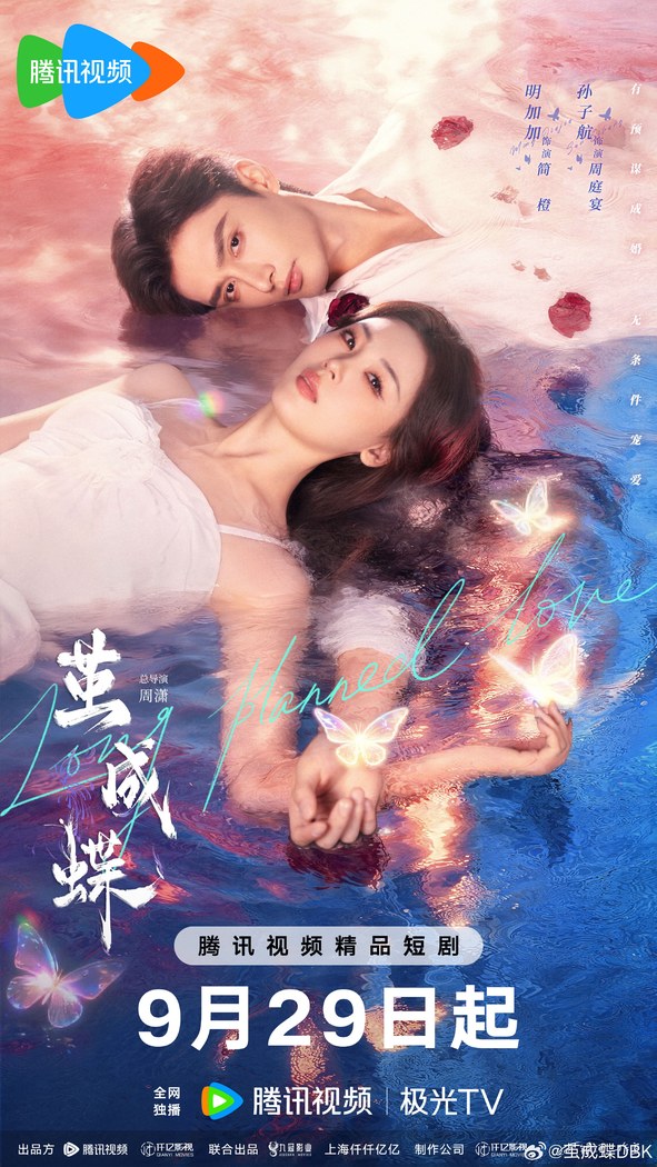 Long Planned Love poster