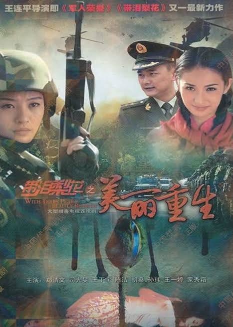 Beautiful Rebirth poster