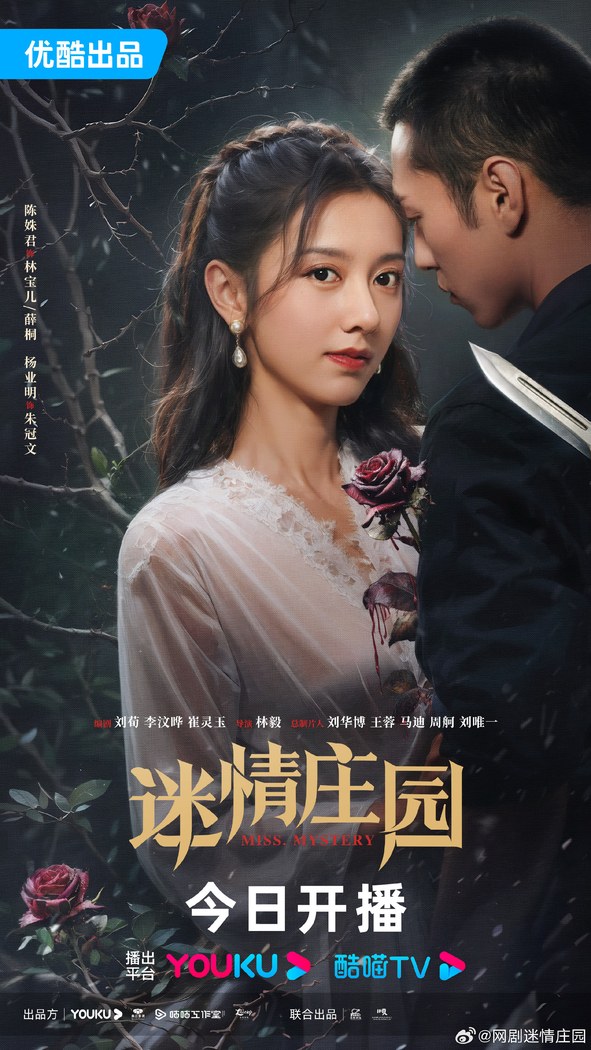 Miss Mystery poster