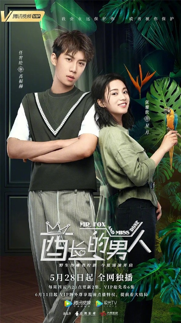 Mr. Fox and Miss Rose poster