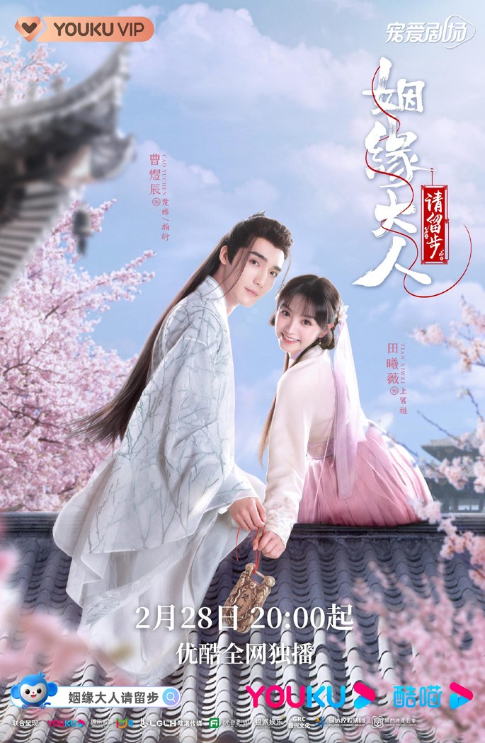 Ms. Cupid in Love poster