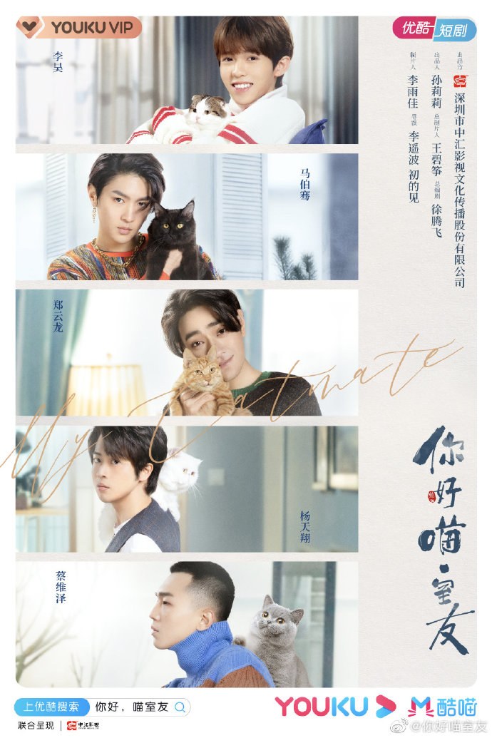 My Catmate poster