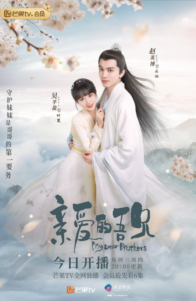 My Dear Brothers poster