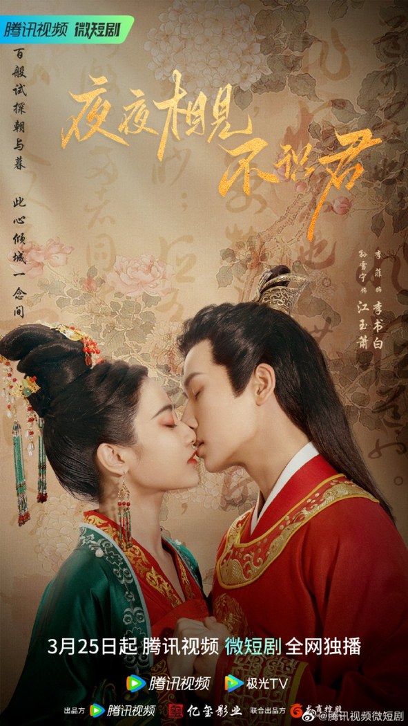 My Decoy Bride poster