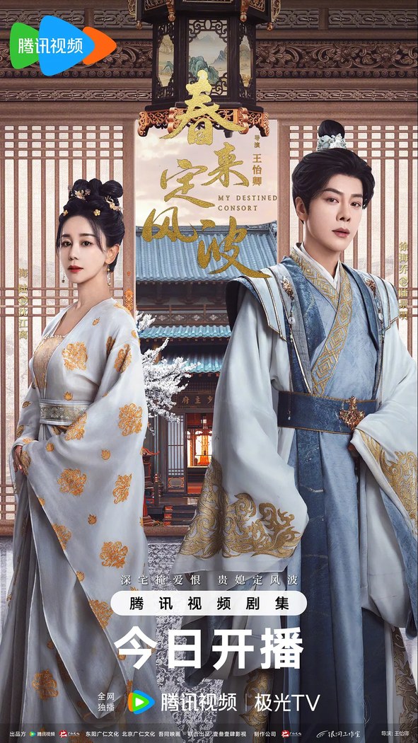 My Destined Consort poster